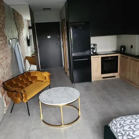 Vistula Loft , Spa , Sauna & Swimming Pool, Free Parking! 克拉科夫